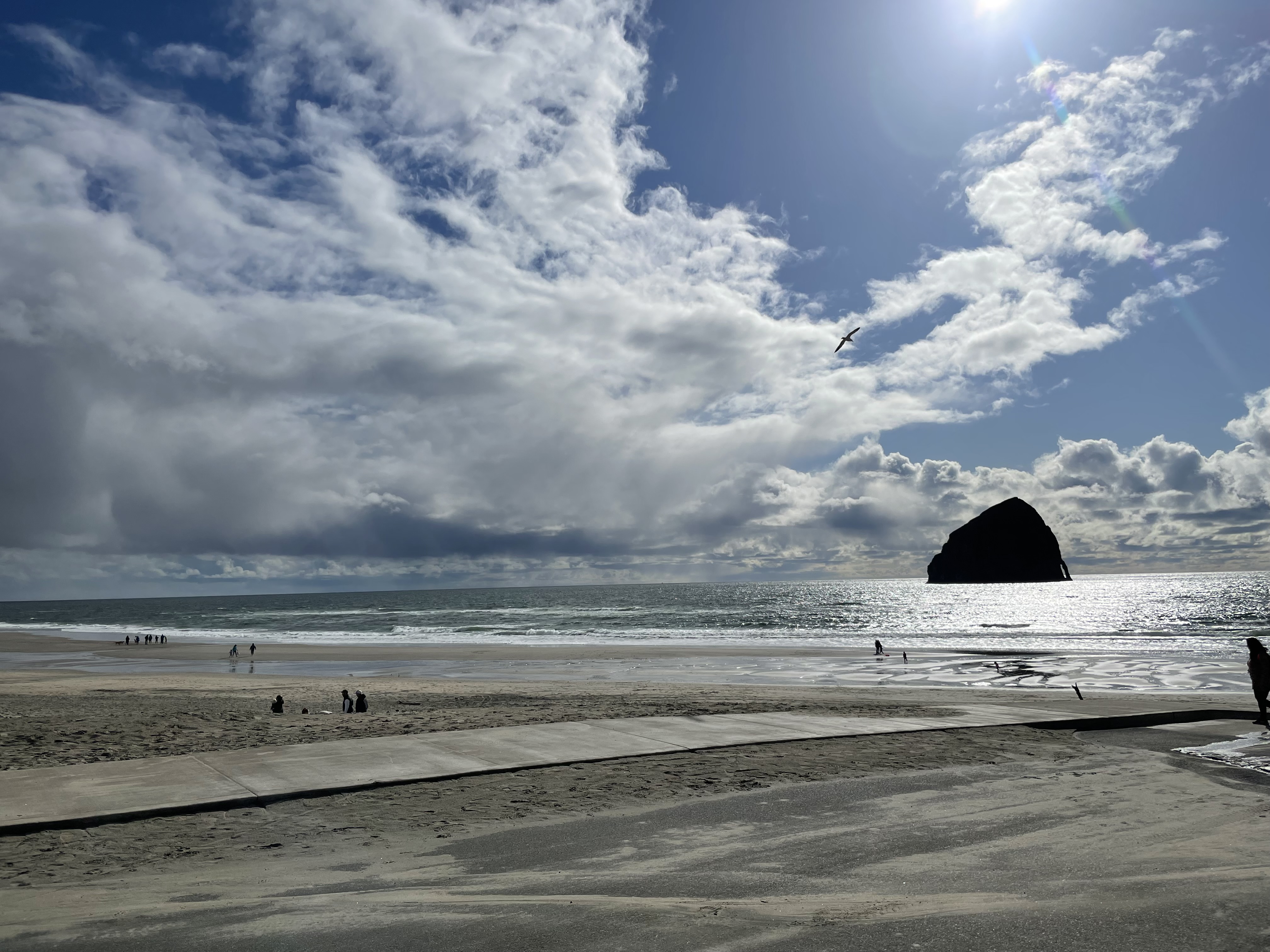 Photography by Corrine J Blackthorn